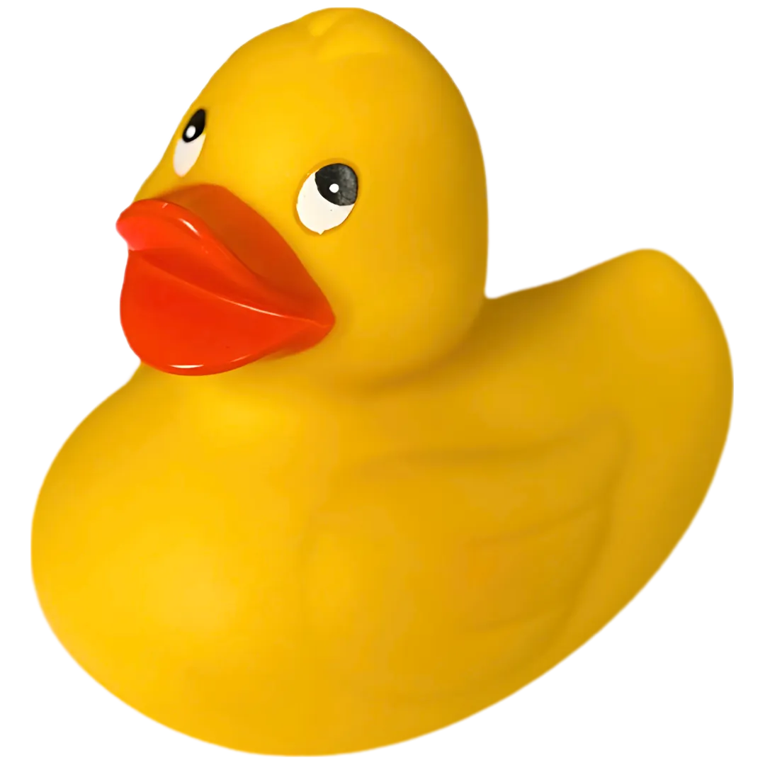 A Rubber Duck